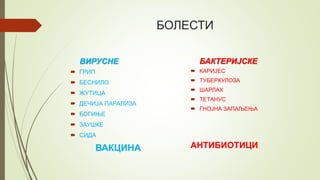 БОЛЕСТИ
ВИРУСНЕ
 ГРИП
 БЕСНИЛО
 ЖУТИЦА
 ДЕЧИЈА ПАРАЛИЗА
 БОГИЊЕ
 ЗАУШКЕ
 СИДА
ВАКЦИНА
БАКТЕРИЈСКЕ
 КАРИЈЕС
 ТУБЕРКУЛОЗА
 ШАРЛАХ
 ТЕТАНУС
 ГНОЈНА ЗАПАЉЕЊА
АНТИБИОТИЦИ
 