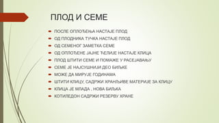 ПЛОД И СЕМЕ
 ПОСЛЕ ОПЛОЂЕЊА НАСТАЈЕ ПЛОД
 ОД ПЛОДНИКА ТУЧКА НАСТАЈЕ ПЛОД
 ОД СЕМЕНОГ ЗАМЕТКА СЕМЕ
 ОД ОПЛОЂЕНЕ ЈАЈНЕ ЋЕЛИЈЕ НАСТАЈЕ КЛИЦА
 ПЛОД ШТИТИ СЕМЕ И ПОМАЖЕ У РАСЕЈАВАЊУ
 СЕМЕ ЈЕ НАЈСУШНИЈИ ДЕО БИЉКЕ
 МОЖЕ ДА МИРУЈЕ ГОДИНАМА
 ШТИТИ КЛИЦУ, САДРЖИ ХРАНЉИВЕ МАТЕРИЈЕ ЗА КЛИЦУ
 КЛИЦА ЈЕ МЛАДА , НОВА БИЉКА
 КОТИЛЕДОН САДРЖИ РЕЗЕРВУ ХРАНЕ
 