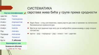 СИСТЕМАТИКА
сврстава жива бића у групе према сродности
 Карл Лине – отац систематике, свакој врсти дао име и презиме на латинском :
биноминална номенклатура.
 Врста је скуп јединки које могу да се међусобно размножавају и дају плодно
потомство
 врста – род – породица – ред – класа – тип - царство
 