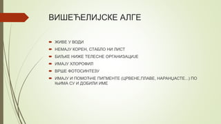 ВИШЕЋЕЛИЈСКЕ АЛГЕ
 ЖИВЕ У ВОДИ
 НЕМАЈУ КОРЕН, СТАБЛО НИ ЛИСТ
 БИЉКЕ НИЖЕ ТЕЛЕСНЕ ОРГАНИЗАЦИЈЕ
 ИМАЈУ ХЛОРОФИЛ
 ВРШЕ ФОТОСИНТЕЗУ
 ИМАЈУ И ПОМОЋНЕ ПИГМЕНТЕ (ЦРВЕНЕ,ПЛАВЕ, НАРАНЏАСТЕ...) ПО
ЊИМА СУ И ДОБИЛИ ИМЕ
 