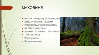 МАХОВИНЕ
 ИМАЈУ СТБАОЦЕ, ЛИСТИЋЕ, РИЗОИДЕ
 ЖИВЕ НА ВЛАЖНИМ МЕСТИМА
 РАЗМНОЖАВАЈУ СЕ ПРЕКО СПОРА
 НА СЕВЕРНОЈ СТРАНИ
 ЛИСНАТЕ, ЈЕТРЕЊАЧЕ, ТРЕСЕТНИЦЕ
 ТРЕСАВЕ, ТРЕСЕТ
 Власинско језеро
 Пионири вегетације
 