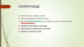 ПАПРАТНИЦЕ
 ИМАЈУ КОРЕН, СТАБЛО И ЛИСТ
 ИМАЈУ ПОДЗЕМНО СТАБЛО РИЗОМ
 ЛИСТ ВРШИ ФОТОСИНТЕЗУ И СА НАЛИЧЈА ИМА СПОРАНГИЈЕ ЗА
РАЗМНОЖАВАЊЕ
 ПАПРАТИ, РАСТАВИЋИ, ПРЕЧИЦЕ
 ПОСТОЈАЛЕ СУ ДРВЕНАСТЕ ПАПРАТИ
 ОД ЊИХ ЈЕ НАСТАО УГАЉ
 