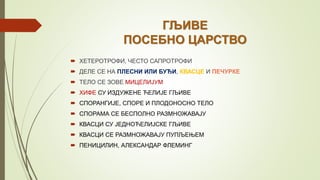ГЉИВЕ
ПОСЕБНО ЦАРСТВО
 ХЕТЕРОТРОФИ, ЧЕСТО САПРОТРОФИ
 ДЕЛЕ СЕ НА ПЛЕСНИ ИЛИ БУЂИ, КВАСЦЕ И ПЕЧУРКЕ
 ТЕЛО СЕ ЗОВЕ МИЦЕЛИЈУМ
 ХИФЕ СУ ИЗДУЖЕНЕ ЋЕЛИЈЕ ГЉИВЕ
 СПОРАНГИЈЕ, СПОРЕ И ПЛОДОНОСНО ТЕЛО
 СПОРАМА СЕ БЕСПОЛНО РАЗМНОЖАВАЈУ
 КВАСЦИ СУ ЈЕДНОЋЕЛИЈСКЕ ГЉИВЕ
 КВАСЦИ СЕ РАЗМНОЖАВАЈУ ПУПЉЕЊЕМ
 ПЕНИЦИЛИН, АЛЕКСАНДАР ФЛЕМИНГ
 