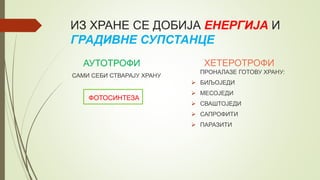 ИЗ ХРАНЕ СЕ ДОБИЈА ЕНЕРГИЈА И
ГРАДИВНЕ СУПСТАНЦЕ
АУТОТРОФИ
САМИ СЕБИ СТВАРАЈУ ХРАНУ
ФОТОСИНТЕЗА
ХЕТЕРОТРОФИ
ПРОНАЛАЗЕ ГОТОВУ ХРАНУ:
 БИЉОЈЕДИ
 МЕСОЈЕДИ
 СВАШТОЈЕДИ
 САПРОФИТИ
 ПАРАЗИТИ
 