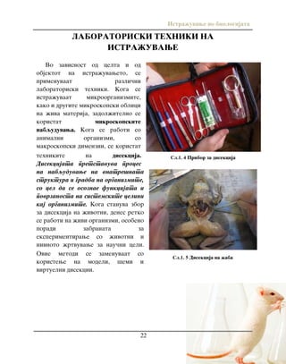 Istra`uvawe vo biologijata
22
LABORATORISKI TEHNIKI NA
ISTRA@UVAWE
Vo zavisnost od celta i od
objektot na istra`uvaweto, se
primenuvaat razli~ni
laboratoriski tehniki. Koga se
istra`uvaat mikroorganizmite,
kako i drugite mikroskopski oblici
na `iva materija, zadol`itelno se
koristat mikroskopskite
nabquduvawa. Koga se raboti so
animalni organizmi, so
makroskopski dimenzii, se koristat
tehnikite na disekcija.
Disekcijata pretstavuva proces
na nabquduvawe na vnatre{nata
struktura i gradba na organizmite,
so cel da se osoznae funkcijata i
povrzanosta na sistemskite celini
kaj organizmite. Koga stanuva zbor
za disekcija na `ivotni, denes retko
se raboti na `ivi organizmi, osobeno
poradi zabranata za
eksperimentirawe so `ivotni i
nivnoto `rtvuvawe za nau~ni celi.
Ovie metodi se zamenuvaat so
koristewe na modeli, {emi i
virtuelni disekcii.
Сл.1. 4 Pribor za disekcija
Сл.1. 5 Disekcija na `aba
 