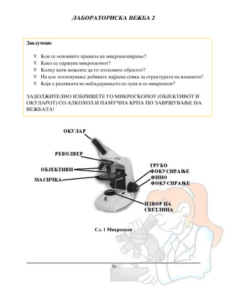 LABORATORISKA VE@BA 2
30
Сл. 1 Mikroskop
Zaklu~oci:
 Koi se osnovnite pravila na mikroskopirawe?
 Kako se odr`uva mikroskopot?
 Kolku pati mo`evte da go zgolemite objektot?
 Na koe zgolemuvawe dobivate najjasna slika za strukturata na vlaknata?
 Koja e razlikata vo nabquduvaweto so lupa i so mikroskop?
ZADOL@ITELNO IZBRI[ETE GO MIKROSKOPOT (OBJEKTIVOT I
OKULAROT) SO ALKOHOL I PAMU^NA KRPA PO ZAVR[UVAWE NA
VE@BATA!
 