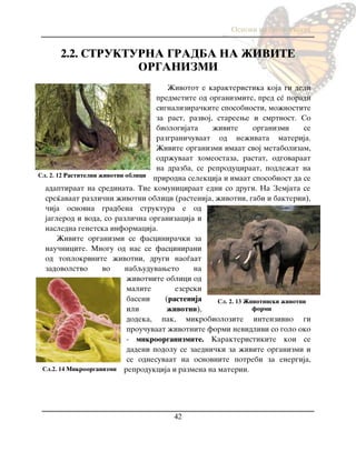 Osnovi na biologijata
42
2.2. STRUKTURNA GRADBA NA @IVITE
ORGANIZMI
@ivotot e karakteristika koja gi deli
predmetite od organizmite, pred sé poradi
signalizira~kite sposobnosti, mo`nostite
za rast, razvoj, stareewe i smrtnost. So
biologijata `ivite organizmi se
razgrani~uvaat od ne`ivata materija.
@ivite organizmi imaat svoj metabolizam,
odr`uvaat homeostaza, rastat, odgovaraat
na drazba, se reproduciraat, podle`at na
prirodna selekcija i imaat sposobnost da se
adaptiraat na sredinata. Tie komuniciraat edni so drugi. Na Zemjata se
sre}avaat razli~ni `ivotni oblici (rastenija, `ivotni, gabi i bakterii),
~ija osnovna gradbena struktura e od
jaglerod i voda, so razli~na organizacija i
nasledna genetska informacija.
@ivite organizmi se fascinira~ki za
nau~nicite. Mnogu od nas se fascinirani
od toplokrvnite `ivotni, drugi nao|aat
zadovolstvo vo nabquduvaweto na
`ivotnite oblici od
malite ezerski
baseni (rastenija
ili `ivotni),
dodeka, pak, mikrobiolozite intenzivno gi
prou~uvaat `ivotnite formi nevidlivi so golo oko
- mikroorganizmite. Karakteristikite koi se
dadeni podolu se zaedni~ki za `ivite organizmi i
se odnesuvaat na osnovnite potrebi za energija,
reprodukcija i razmena na materii.
Сл. 2. 13 @ivotinski `ivotni
formi
Сл. 2. 12 Rastitelni `ivotni oblici
Сл.2. 14 Mikroorganizmi
 