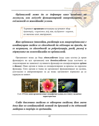 Osnovi na biologijata
43
Organizmot mo`e da se definira kako kompleks od
molekuli, koi me|usebe funkcioniraat sinhronizirano, vo
soglasnost so `ivotnite uslovi.
@iv organizam (`ivotni, rastenija ili mikroorganizmi) e
kontinuiran sistem so sposobnost da odgovara na drazbi, da
se ishranuva, so sposobnost za reprodukcija, rast, razvoj i
odr`uvawe na homeostazata vo organizmot.
Organizmot mo`e da bide ednokleto~en (kade edna kletka ja vr{i
funkcijata na cel organizam) ili pove}ekleto~en (kade kletkite se
lokalizirani vo zavisnost od nivnata funkcija vo specijalizirani organi
i tkiva). Ovie organi i tkiva se specijalizirani za vr{ewe na odredena
funkcija. Site organi i tkiva vo organizmot funkcioniraat vo celina,
usoglaseno i sinhronizirano za da mo`e organizmot normalno da se
odr`uva vo `ivot.
Сл.2. 15 Site `ivi organizmi imaat specifi~ni odliki, no i mnogu zaedni~ki
karakteristiki
Site biolo{ki sistemi se otvoreni sistemi; toa zna~i
deka tie vo kontinuitet mo`at da primaat i da oddavaat
materii i energija so sredinata.
Terminot organizam poteknuva od gr~kiot zbor
ὀργανισμός - organismos, koj, pak, od ὄργανον - organon,
so zna~ewe alat, instrument.
 