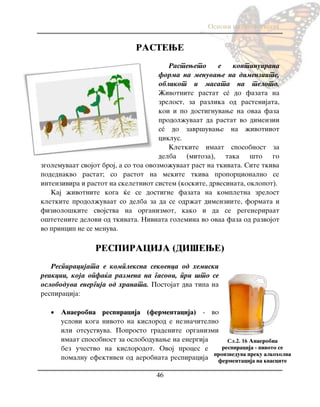 Osnovi na biologijata
46
RASTEWE
Rasteweto e kontinuirana
forma na menuvawe na dimenziite,
oblikot i masata na teloto.
@ivotnite rastat sé do fazata na
zrelost, za razlika od rastenijata,
koi i po dostignuvawe na ovaa faza
prodol`uvaat da rastat vo dimenzii
sé do zavr{uvawe na `ivotniot
ciklus.
Kletkite imaat sposobnost za
delba (mitoza), taka {to go
zgolemuvaat svojot broj, a so toa ovozmo`uvaat rast na tkivata. Site tkiva
podednakvo rastat; so rastot na mekite tkiva proporcionalno se
intenzivira i rastot na skeletniot sistem (koskite, drvesinata, oklopot).
Kaj `ivotnite koga }e se dostigne fazata na kompletna zrelost
kletkite prodol`uvaat so delba za da se odr`at dimenziite, formata i
fiziolo{kite svojstva na organizmot, kako i da se regeneriraat
o{tetenite delovi od tkivata. Nivnata golemina vo ovaa faza od razvojot
vo princip ne se menuva.
RESPIRACIJA (DI[EWE)
Respiracijata e kompleksna sekvenca od hemiski
reakcii, koja opfa}a razmena na gasovi, pri {to se
osloboduva energija od hranata. Postojat dva tipa na
respiracija:
 Anaerobna respiracija (fermentacija) - vo
uslovi koga nivoto na kislorod e nezna~itelno
ili otsustvuva. Poprosto gradenite organizmi
imaat sposobnost za osloboduvawe na energija
bez u~estvo na kislorodot. Ovoj proces e
pomalnu efektiven od aerobnata respiracija
Сл.2. 16 Anaerobna
respiracija - pivoto se
proizveduva preku alkoholna
fermentacija na kvascite
 