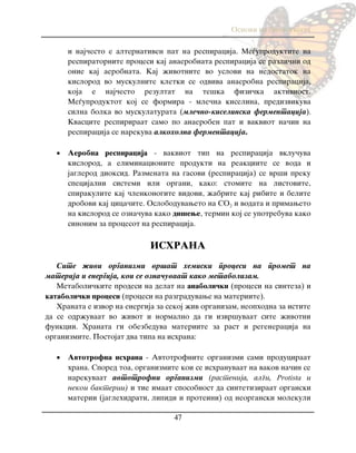 Osnovi na biologijata
47
i naj~esto e alternativen pat na respiracija. Me|uproduktite na
respiratornite procesi kaj anaerobnata respiracija se razli~ni od
onie kaj aerobnata. Kaj `ivotnite vo uslovi na nedostatok na
kislorod vo muskulnite kletki se odviva anaerobna respiracija,
koja e naj~esto rezultat na te{ka fizi~ka aktivnost.
Me|uproduktot koj se formira - mle~na kiselina, predizvikuva
silna bolka vo muskulaturata (mle~no-kiselinska fermentacija).
Kvascite respiriraat samo po anaeroben pat i vakviot na~in na
respiracija se narekuva alkoholna fermentacija.
 Aerobna respiracija - vakviot tip na respiracija vklu~uva
kislorod, a eliminacionite produkti na reakciite se voda i
jaglerod dioksid. Razmenata na gasovi (respiracija) se vr{i preku
specijalni sistemi ili organi, kako: stomite na listovite,
spirakulite kaj ~lenkonogite vidovi, `abrite kaj ribite i belite
drobovi kaj cica~ite. Osloboduvaweto na SO2 i vodata i primaweto
na kislorod se ozna~uva kako di{ewe, termin koj se upotrebuva kako
sinonim za procesot na respiracija.
ISHRANA
Site `ivi organizmi vr{at hemiski procesi na promet na
materija i energija, koi se ozna~uvaat kako metabolizam.
Metaboli~kite prodesi na delat na anaboli~ki (procesi na sinteza) i
kataboli~ki procesi (procesi na razgraduvawe na materiite).
Hranata e izvor na energija za sekoj `iv organizam, neophodna za istite
da se odr`uvaat vo `ivot i normalno da gi izvr{uvaat site `ivotni
funkcii. Hranata gi obezbeduva materiite za rast i regeneracija na
organizmite. Postojat dva tipa na ishrana:
 Avtotrofna ishrana - Avtotrofnite organizmi sami produciraat
hrana. Spored toa, organizmite koi se ishranuvaat na vakov na~in se
narekuvaat avtotrofni organizmi (rastenija, algi, Protista i
nekoi bakterii) i tie imaat sposobnost da sintetiziraat organski
materii (jaglehidrati, lipidi i proteini) od neorganski molekuli
 