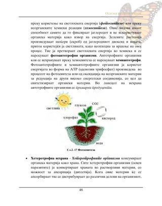 Osnovi na biologijata
48
preku koristewe na svetlosnata energija (fotosinteza) ili preku
neorganskite hemiski reakcii (hemosinteza). Ovie vidovi imaat
sposobnost samite da go fiksiraat jaglerodot i ne iskoristuvaat
organska materija kako izvor na energija. Zelenite rastenija
proizveduvaat {e}eri (skrob) od jaglerodniot dioksid i vodata,
pritoa koristej}i ja svetlinata, kako neophodna za vr{ewe na ovoj
proces. Tie ja pretvoraat svetlosnata energija vo hemiska i se
narekuvaat fotoavtotrofni organizmi. Avtotrofnite organizmi
koi se ishranuvaat preku hemosinteza se narekuvaat hemiavtotrofi.
Fotoavtotrofnite i hemiavtotrofnite organizmi ja koristat
energijata vo forma na ATR (adenozin trifosfat) proizvedena vo
procesot na fotosinteza ili od oksidacija na neorganskite materii
za redukcija na drugi visoko energetski soedinenija, so cel da
sintetiziraat organski materii. Vo lanecot na ishrana
avtotrofnite organizmi se primarni producenti.
Сл.2. 17 Fotosinteza
 Heterotrofna ishrana - Heterotrofnite organizmi konsumiraat
organska materija kako hrana. Site heterotrofni organizmi (osven
parazitite) ja konvertiraat hranata vo rastvorlivi materii, so
mo`nost za apsorpcija (digestija). Koga ovie materii }e se
apsorbiraat tie se distribuiraat do razli~ni delovi na organizmot,
 