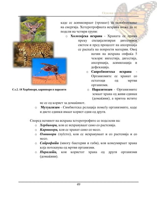 Osnovi na biologijata
49
kade se asimiliraat (tro{at) za osloboduvawe
na energija. Heterotrofnata ishrana mo`e da se
podeli na ~etiri grupi:
o Holozojska ishrana - Hranata se prima
preku specijaliziran digestiven
sistem i pred procesot na apsorpcija
se raspa|a na poprosti materii. Ovoj
na~in na ishrana opfa}a 5
~ekori: ingestija, digestija,
apsorpcija, asimilacija i
defekacija.
o Saprobiontska ishrana -
Organizmite se hranat so
ostatoci od mrtvi
organizmi.
o Parazitizam - Organizmite
zemaat hrana od `ivi edinki
(doma}ini), a pritoa istite
ne se od korist za doma}inot.
o Mutualizam - Simbiotska relacija pome|u organizmite, kade
i dvete edinki imaat korist edni od drugi.
Spored na~inot na ishrana heterotrofite se podeleni na:
o Herbivori, koi se ishranuvaat samo so rastenija.
o Karnivori, koi se hranat samo so meso.
o Omnivori (lu|eto), koi se ishranuvaat i so rastenija i so
meso.
o Saprofiti (mnogu bakterii i gabi), koi konsumiraat hrana
koja poteknuva od mrtvi organizmi.
o Paraziti, koi koristat hrana od drugi organizmi
(doma}ini).
Сл.2. 18 Herbivori, karnivori i paraziti
 