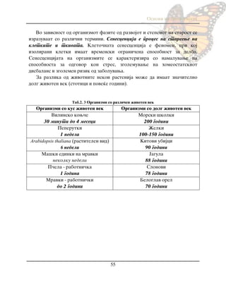 Osnovi na biologijata
55
Vo zavisnost od organizmot fazite od razvojot i stepenot na starost se
izrazuvaat so razli~ni termini. Senescencija e proces na stareewe na
kletkite i tkivata. Kleto~nata senescencija e fenomen, pri koj
izolirani kletki imaat vremenski ograni~ena sposobnost za delba.
Senescencijata na organizmite se karakterizira so namaluvawe na
sposobnosta za odgovor kon stres, zgolemuvawe na homeostatskiot
disbalans i zgolemen rizik od zaboluvawa.
Za razlika od `ivotnite nekoi rastenija mo`e da imaat zna~itelno
dolg `ivoten vek (stotici i pove}e godini).
Таб.2. 3 Organizmi so razli~en `ivoten vek
Organizmi so kus `ivoten vek Organizmi so dolg `ivoten vek
Vilinsko kow~e
30 minuti do 4 meseci
Morski {kolki
200 godini
Peperutki
1 nedela
@elki
100-150 godini
Arabidopsis thaliana (rastitelen vid)
6 nedeli
Kitovi ubijci
90 godini
Ma{ki edinki na mravki
nekolku nedeli
Jagula
88 godini
P~ela - rabotni~ka
1 godina
Slonovi
78 godini
Mravki - rabotni~ki
do 2 godini
Beloglav orel
70 godini
 