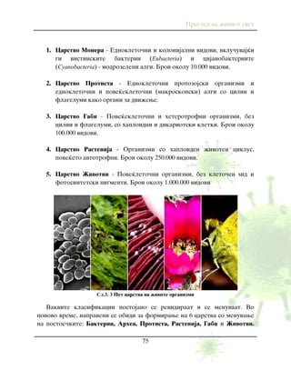 Pregled na `iviot svet
75
1. Carstvo Monera - Ednokleto~ni i kolonijalni vidovi, vklu~uvaj}i
gi vistinskite bakterii (Eubacteria) i cijanobakteriite
(Cyanobacteria) - modrozeleni algi. Broi okolu 10.000 vidovi.
2. Carstvo Protista - Ednokleto~ni protozojski organizmi i
ednokleto~ni i pove}ekleto~ni (makroskopski) algi so cilii i
flagelumi kako organi za dvi`ewe.
3. Carstvo Gabi - Pove}ekleto~ni i heterotrofni organizmi, bez
cilii i flagelumi, so haploidni i dikariotski kletki. Broi okolu
100.000 vidovi.
4. Carstvo Rastenija - Organizmi so haploiden `ivoten ciklus,
pove}eto avtotrofni. Broi okolu 250.000 vidovi.
5. Carstvo @ivotni - Pove}leto~ni organizmi, bez kleto~en yid i
fotosintetski pigmenti. Broi okolu 1.000.000 vidovi
Сл.3. 3 Pet carstva na `ivite organizmi
Vakvite klasifikacii postojano se revidiraat i se menuvaat. Vo
ponovo vreme, napraveni se obidi za formirawe na 6 carstva so menuvawe
na postoe~kite: Bakterii, Arhea, Protista, Rastenija, Gabi i @ivotni.
 