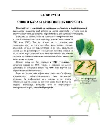 Pregled na `iviot svet
77
3.3. VIRUSI
OP[TI KARAKTERISTIKI NA VIRUSITE
Virusite ne se smetaat za vistinski organizmi i pretstavuvaat
acelularni (beskleto~ni) formi na `iva materija. Naukata koja gi
prou~uva virusite, se narekuva virologija i e del od mikrobiologijata.
Virusite se razlikuvaat od ostanatite mikroorganizmi
po toa {to imaat samo eden vid na nukleinska kiselina (ili
DNA ili RNA). Tie ne mo`at da se razmno`uvaat
samostojno, tuku za toa e potrebna `iva kletka (kletka-
doma}in), vo koja }e parazitiraat i vo koja edinstveno
mo`at da se repliciraat. Poseduvaat nekolku enzimi i
molekulski karakteristiki na `ivi organizmi; tie nemaat
sopstven metaboli~ki sistem i nemaat sposobnost za sinteza
na organski materii.
Prviot virus koj bil otkrien e TMV (tutunoviot
mozai~en virus) vo 1898 godina i ottoga{ do denes
kompletno se prou~eni pove}e od 5.000 novi virusi, od
vkupno milioni koi postojat.
Virusite mo`at da se najdat na site mesta na Zemjata i
pretstavuvaat najrasprostranetiot `iv organizam
voop{to. Gi inficiraat site kletki i ne postoi
organizam koj bi mo`el da izbegne kakva bilo forma na
virusna infekcija. Virusite {to gi infektiraat
bakteriite se narekuvaat bakteriofagi.
Сл.3. 4 TMV (inficirani
listovi-gore; mikroskopski
izgled-dolu)
 