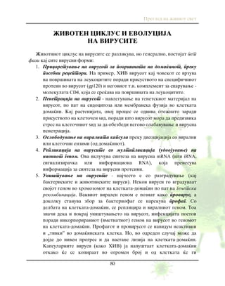 Pregled na `iviot svet
80
@IVOTEN CIKLUS I EVOLUCIJA
NA VIRUSITE
@ivotniot ciklus na virusite se razlikuva, no generalno, postojat pet
fazi kaj site virusni formi:
1. Pricvrstuvawe na virusot za povr{inata na doma}inot, preku
posebni receptori. Na primer, HIV virusot kaj ~ovekot se vrzuva
na povr{inata na leukocitite poradi prisustvoto na specifi~niot
protein vo virusot (gp120) i negoviot t.n. komplement za sparuvawe -
molekulata CD4, koja se sre}ava na povr{inata na leukocitite.
2. Penetracija na virusot - navleguvawe na genetskiot materijal na
virusot, po pat na endocitoza ili membranska fuzija vo kletkata
doma}in. Kaj rastenijata, ovoj proces se odviva ote`nato zaradi
prisustvoto na kleto~en yid, poradi {to virusot mora da predizvika
stres na kleto~niot yid za da obezbedi negovo olabavuvawe i virusna
penetracija.
3. Osloboduvawe na viralnata kapsula preku disocijacija so viralni
ili kleto~ni enzimi (od doma}inot).
4. Replikacija na virusite so multiplikacija (udvojuvawe) na
nivniot genom. Ova vklu~uva sinteza na virusna mRNA (ili iRNA,
signalizira~ka ili informaciona RNA), koja prenesuva
informacija za sinteza na virusni proteini.
5. Uni{tuvawe na virusite - naj~esto e so razgraduvawe (kaj
bakteriskite i `ivotinskite virusi). Nekoi virusi go vgraduvaat
svojot genom vo hromozomot na kletkata-doma}in po pat na genetska
rekombinacija. Vakviot viralen genom e poznat kako provirus, a
dokolku stanuva zbor za bakteriofag se narekuva profag. So
delbata na kletkata-doma}in, se replicira i viralniot genom. Toa
zna~i deka i pokraj uni{tuvaweto na virusot, infekcijata postoi
poradi inkorporiraniot (vmetnatiot) genom na virusot vo genomot
na kletkata-doma}in. Profagot i provirusot se navidum neaktivni
i „tivki” vo doma}inskata kletka. No, vo odreden slu~aj mo`e da
dojde do niven progres i da nastane lizija na kletkata-doma}in.
Kapsularnite virusi (kako HIV) ja napu{taat kletkata-doma}in
otkako }e se kopiraat vo ogromen broj i od kletkata }e gi
 