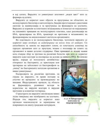 Pregled na `iviot svet
86
i kaj algite. Virusite go uni{tuvaat {tetniot „voden cvet” {to se
formira od algite.
Virusite se koristat kako objekti za prou~uvawe vo oblastite na
molekularnata biologija i citologijata, bidej}i pretstavuvaat ednostavni
sistemi za manipulacija i za prou~uvawe na funkcijata na kletkite.
Virusite se korisni za genetskite istra`uvawa i pomagaat vo pojasnuvawe
na osnovnite principi na molekularnata genetika, kako replikacija na
DNA, procesirawe na RNA, transport na proteini i mehanizmite na
funkcionirawe na imunolo{kiot sistem na organizmite.
Vo genetikata i vo molekularnata biologija, ~estopati virusite se
koristat kako vektori za integrirawe na nekoi geni od interes. So
sposobnosta za zamena na virusniot genom, so genetskata sekvenca na
odreden organizam {to se prou~uva, mo`na e izolacija na genite od
organizmot i nivno detalno studirawe. Ovie principi se mo{ne va`ni
koga stanuva zbor za tretman na razli~ni bolesti, pri {to se koristat
virusite kako vektori za izolirawe na delovi od nivnata DNA. Vo ponovo
vreme, poradi sé pogolemata antibiotska
otpornost na bakteriite, se pristapuva kon
tretirawe na zabolenite so bakteriofagi za
„napad” na bakteriskite patogeni organizmi i
nivno uni{tuvawe.
Ekspresijata na razli~ni proteini, od
strana na virusite, gi pravi pogodni za
u~estvo vo procesite za proizveduvawe na
vakcini. Industriskite procesi, od oblasta
na farmacijata, razvivaat metodi za
koristewe na virusni vektori i virusni
proteini za klini~ki testirawa.
Strukturata na virusite ovozmo`uva nivno
lesno minuvawe niz membranite na kletkite.
Poradi toa, virusite se koristat kako
organski nanomolekuli za zajaknuvawe na
povr{inata na mnogu grade`ni materijali.
Сл.3. 10 Laboratorisko
ispituvawe na
mikroorganizmite
 