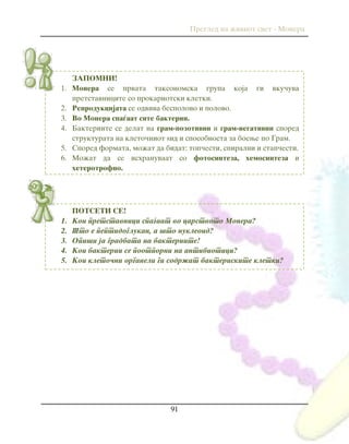 Pregled na `iviot svet - Monera
91
ZAPOMNI!
1. Monera se prvata taksonomska grupa koja gi vku~uva
pretstavnicite so prokariotski kletki.
2. Reprodukcijata se odviva bespolovo i polovo.
3. Vo Monera spa|aat site bakterii.
4. Bakteriite se delat na gram-pozotivni i gram-negativni spored
strukturata na kleto~niot yid i sposobnosta za boewe po Gram.
5. Spored formata, mo`at da bidat: top~esti, spiralni i stap~esti.
6. Mo`at da se ishranuvaat so fotosinteza, hemosinteza i
heterotrofno.
POTSETI SE!
1. Koi pretstavnici spa|aat vo carstvoto Monera?
2. [to e peptidoglukan, a {to nukleoid?
3. Opi{i ja gradbata na bakteriite!
4. Koi bakterii se pootporni na antibiotici?
5. Koi kleto~ni organeli gi sodr`at bakteriskite kletki?
 