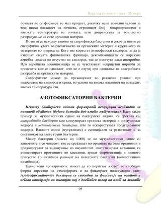 Pregled na `iviot svet - Monera
95
po~vata }e se formira vo mal procent, dokolku nema povolni uslovi za
toa: niska vla`nost na po~vata, ogromniot broj mikroorganizmi i
visokata temperatura na po~vata, {to doprinesuva za kompletno
razgraduvawe na site organski materii.
Poznati se nekolku tipovi na saprofitski bakterii i sekoj od niv igra
specifi~na uloga vo raspa|aweto na organskite materii i kru`eweto na
materiite vo prirodata. Koga tie koristat atmosferski kislorod, za da ja
izvr{at svojata fiziolo{ka funkcija, dekompozicijata se narekuva
aerobna, dodeka vo otsustvo na kislorod, taa se ozna~uva kako anaerobna.
Pri aerobnata dekompozicija ne se ~uvstvuvaat neprijatni mirizbi od
procesite koi se odvivaat, {to ne e slu~aj pri odvivawe na anaerobnata
razgradba na organskite materii.
Saprofitite mo`at da pre`ivuvaat vo razli~ni uslovi: pri
nedostatok na kislorod i hrana, vo uslovi na visoka vla`nost na vozduhot,
visoka temperatura itn.
AZOTOFIKSATORNI BAKTERII
Nekolku bakteriski vidovi formiraat asocijacii neophodni za
nivniot opstanok (pojava poznata pod imeto mutualizam). Eden vakov
primer za mutualisti~ki odnos na bakteriski vidovi, se sre}ava kaj
anaerobnite bakterii koi konsumiraat organska materija i produciraat
vodorod i metanogenski bakterii, {to go iskoristuvaat produciraniot
vodorod. Vakviot odnos (mutualizam) e esencijalen za razvitokot i za
opstanokot na dvete grupi bakterii.
Mnogu bakterii (pove}e od 1.000) se vo mutualisti~ki odnos so
`ivotnite i so ~ovekot: tie se sre}avaat vo organite na ovie organizmi i
pridonesuvaat za zajaknuvawe na imunitetot, sintetiziraat vitamini, gi
konvertiraat proteinite vo kiselini, vr{at fermentacija i nivnoto
prisustvo go inhibira razvojot na patogenite bakterii (kompetitivna
inhibicija).
Edinstveno prokariotite mo`at da go koristat azotot vo slobodna
forma direktno od atmosferata i da fiksiraat molekularen azot.
Azotofiksatornte bakterii se sposobni za fiksacija na azotot i
negova konverzija vo amonijak koj e dostapen izvor na azot za `ivite
 