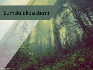 ŠUMSKI EKOSISTEMI
Šumski ekosistemi
 