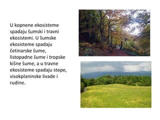U kopnene ekosisteme
spadaju šumski i travni
ekosistemi. U šumske
ekosisteme spadaju
četinarske šume,
listopadne šume i tropske
kišne šume, a u travne
ekosisteme spadaju stepe,
visokplaninske livade i
rudine.
 