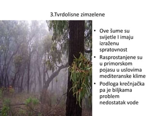 3.Tvrdolisne zimzelene
• Ove šume su
svijetle I imaju
izraženu
spratovnost
• Rasprostanjene su
u primorskom
pojasu u uslovima
mediteranske klime
• Podloga krečnjačka
pa je biljkama
problem
nedostatak vode
 