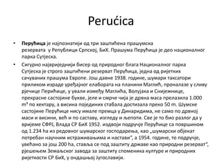 Perućica
• Перућица је најпознатији од три заштићена прашумска
резервата у Републици Српској, БиХ. Прашума Перућица је део националног
парка Сутјеска.
• Сигурно највриједнији бисер од природног блага Националног парка
Сутјеска је строго заштићени резерват Перућица, једна од ријетких
сачуваних прашума Европе. Још давне 1938. године, шумари таксатори
приликом израде уређајног елабората на планини Маглић, проналазе у сливу
рјечице Перићице, у ували између Маглића, Волујака и Снијежнице,
прекрасне састојине букве, јеле и смрче чија је дрвна маса прелазила 1.000
m³ по хектару, а висина појединих стабала достизала преко 50 m. Шумске
састојине Перућице нису имале премца у Динаридима, не само по дрвној
маси и висини, већ и по саставу, изгледу и љепоти. Све је то био разлог да у
вријеме СФРЈ, Влада СР БиХ 1952. издвоји подручје Перућице са површином
од 1.234 ha из редовног шумарског господарења, као „шумарски објекат
потребан научним истраживањима и настави“, а 1954. године, то подручје,
увећано за још 200 ha, ставља се под заштиту државе као природни резерват“,
рјешењем Земаљског завода за заштиту споменика културе и природних
ријеткости СР БиХ, у ондашњој Југославији.
 