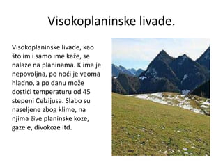 Visokoplaninske livade.
Visokoplaninske livade, kao
što im i samo ime kaže, se
nalaze na planinama. Klima je
nepovoljna, po noći je veoma
hladno, a po danu može
dostići temperaturu od 45
stepeni Celzijusa. Slabo su
naseljene zbog klime, na
njima žive planinske koze,
gazele, divokoze itd.
 