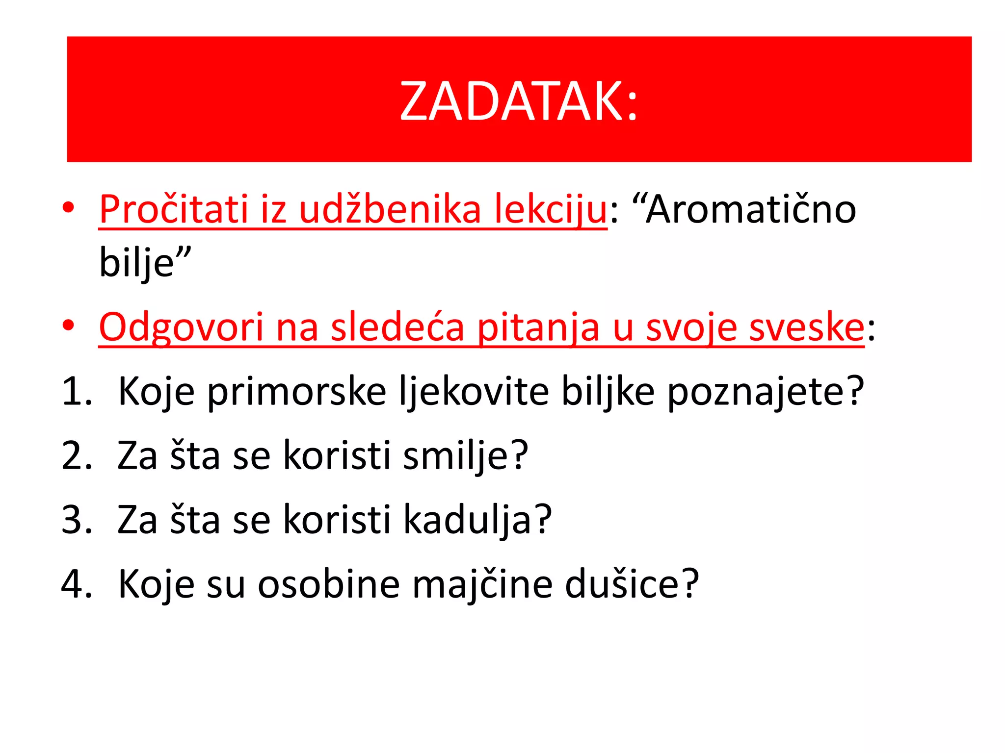 Biologija Primorske Ljekovite Biljke PPT Biologija Primorske Ljekovite Biljke PPT