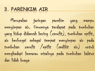 3. PARENKIM AIR

Merupakan jaringan parekim yang mampu
menyimpan air. Umumnya terdapat pada tumbuhan
yang hidup didaerah kering (xerofit), tumbuhan epifit,
air berfungsi sebagai tempat menyimpan air pada
tumbuhan xerofit /epifit (sedikit air) untuk
menghadapi kemarau misalnya pada tumbuhan kaktus
dan lidah buaya

 