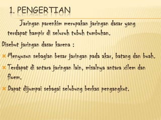 1. PENGERTIAN
Jaringan parenkim merupakan jaringan dasar yang
terdapat hampir di seluruh tubuh tumbuhan.
Disebut jaringan dasar karena :
 Menyusun sebagian besar jaringan pada akar, batang dan buah.
 Terdapat di antara jaringan lain, misalnya antara xilem dan
floem.
 Dapat dijumpai sebagai selubung berkas pengangkut.

 