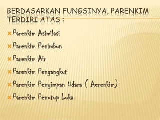BERDASARKAN FUNGSINYA, PARENKIM
TERDIRI ATAS :
 Parenkim

Asimilasi
 Parenkim Penimbun
 Parenkim Air
 Parenkim Pengangkut
 Parenkim Penyimpan Udara ( Aerenkim)
 Parenkim Penutup Luka

 