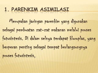 1. PARENKIM ASIMILASI

Merupakan jaringan parenkim yang digunakan
sebagai pembuatan zat-zat makanan melalui proses
fotosintesis. Di dalam selnya terdapat kloroplas, yang
berperan penting sebagai tempat berlangsungnya
proses fotosintesis,

 