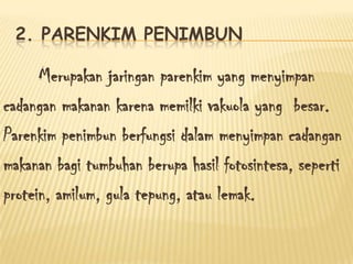 2. PARENKIM PENIMBUN

Merupakan jaringan parenkim yang menyimpan
cadangan makanan karena memilki vakuola yang besar.
Parenkim penimbun berfungsi dalam menyimpan cadangan
makanan bagi tumbuhan berupa hasil fotosintesa, seperti
protein, amilum, gula tepung, atau lemak.

 