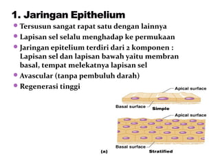  Tersusun sangat rapat satu dengan lainnya
 Lapisan sel selalu menghadap ke permukaan
 Jaringan epitelium terdiri dari 2 komponen :
  Lapisan sel dan lapisan bawah yaitu membran
  basal, tempat melekatnya lapisan sel
 Avascular (tanpa pembuluh darah)
 Regenerasi tinggi
 