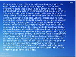 Mogu se videti. Levo i desno od ociju smestene su sovine usiu
obliku malih otvora koji su zasticeni perjem i nisu na istoj
udaljenosti, jedno vise, a drugo nize u odnosu na oci. Bas ta
asimetricnost usiju daje im trodimenzionalnost zvuka. Sluh im je
vrlo osetljiv tako da svoj plen mogu locirati i u potpunoj tami.
Imaju izvrstan vid koji je jednako dobar po dnevnom svetlu kao i
u mraku. Zanimljivo je da zbog velicine i gradje sove ne mogu
pokretati oci unutar ocnih duplji. Ali zato imaju izuzetno pokretan
vrat pa mogu okretati glavu za 360 stepeni i gledati na ledjnu
stranu! Vecina sova imaju perje po nogama koje ima dvostruku
namenu. Da greje pticu i da je sacuva od udaraca. Sove dostizu
polnu zrelos u prve dve godine. Kad pronadju partnera, sove mu
celi zivot ostanu verne. Uglavnom ne grade gnezda vec svoja jaja
ostavljaju u dupljama drveca, udubljenjima stena ili udubljenjima
u tlu. Zenka snese 4-11 belih jaja na kojima lezi izmedju cetiri i
pet nedelja. Ptici napustaju gnezdo pre nego budu sposobni za
let, tacnije posle 12 nedelja.Oni ostaju u blizini gnezda, penju se
po granama i oglasavanjem obavestavaju roditelje o svom
polozaju. Ptici pocinju da lete sa 5-8 nedelja. Kod većine vrsta
sova ženke su veće, teže i agresivnije od mužjaka. Ako su ptice
dimorfne, perje ženke je šarenije.
 