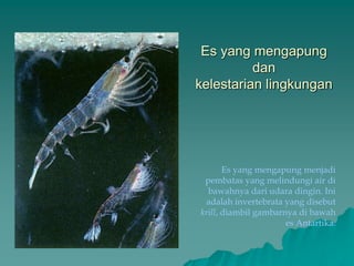 Es yang mengapung
dan
kelestarian lingkungan
Es yang mengapung menjadi
pembatas yang melindungi air di
bawahnya dari udara dingin. Ini
adalah invertebrata yang disebut
krill, diambil gambarnya di bawah
es Antartika.
 