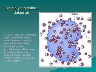 Protein yang terlarut
dalam air Protein
Air
Molekul sebesar protein tetap
dapat larut dalam air jika
molekul tersebut memiliki
cukup daerah ionik dan
daerah polar pada
permukaannya. Massa ungu
di sini mewakili suatu
molekul protein tunggal,
dengan molekul-molekul air
di sekelilingnya.
 