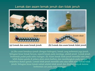Lemak dan asam lemak jenuh dan tidak jenuh
(a) Lemak dan asam lemak jenuh (b) Lemak dan asam lemak tidak jenuh
Asam stearat Asam oleat
(a) Jika asam lemaknya jenuh (dengan hidrogen), lemak yang terbentuk juga jenuh.
Sebagian besar lemak hewan, seperti lemak pada mentega, adalah jenuh. Lemak jenuh
berbentuk padat pada suhu ruangan. (b) Asam lemak tidak jenuh memiliki satu atau
lebih ikatan ganda di antara atom-atom karbon, dan membengkok pada tempat
terjadinya ikatan ganda. Lemak tidak jenuh memiliki satu atau lebih asam lemak tidak
jenuh. Sebagian besar lemak nabati adalah tidak jenuh dan disebut minyak karena
berbentuk cair pada suhu ruangan.
 