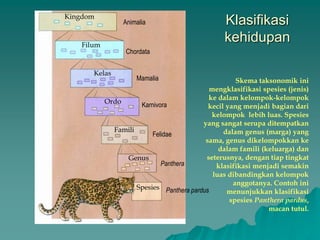 Klasifikasi
kehidupan
Kingdom
Kelas
Ordo
Famili
Genus
Spesies
Animalia
Filum
Chordata
Felidae
Karnivora
Mamalia
Panthera
Panthera pardus
Skema taksonomik ini
mengklasifikasi spesies (jenis)
ke dalam kelompok-kelompok
kecil yang menjadi bagian dari
kelompok lebih luas. Spesies
yang sangat serupa ditempatkan
dalam genus (marga) yang
sama, genus dikelompokkan ke
dalam famili (keluarga) dan
seterusnya, dengan tiap tingkat
klasifikasi menjadi semakin
luas dibandingkan kelompok
anggotanya. Contoh ini
menunjukkan klasifikasi
spesies Panthera pardus,
macan tutul.
 