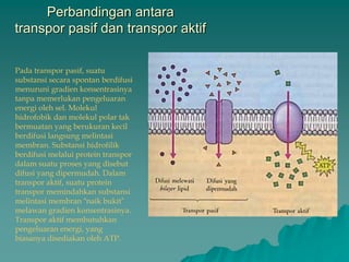 Perbandingan antara
transpor pasif dan transpor aktif
Pada transpor pasif, suatu
substansi secara spontan berdifusi
menuruni gradien konsentrasinya
tanpa memerlukan pengeluaran
energi oleh sel. Molekul
hidrofobik dan molekul polar tak
bermuatan yang berukuran kecil
berdifusi langsung melintasi
membran. Substansi hidrofilik
berdifusi melalui protein transpor
dalam suatu proses yang disebut
difusi yang dipermudah. Dalam
transpor aktif, suatu protein
transpor memindahkan substansi
melintasi membran “naik bukit”
melawan gradien konsentrasinya.
Transpor aktif membutuhkan
pengeluaran energi, yang
biasanya disediakan oleh ATP.
 