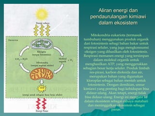 Aliran energi dan
pendaurulangan kimiawi
dalam ekosistem
Mitokondria eukariota (termasuk
tumbuhan) menggunakan produk organik
dari fotosintesis sebagi bahan bakar untuk
respirasi seluler, yang juga mengkonsumsi
oksigen yang dihasilkan oleh fotosintesis.
Respirasi memanen energi yang tersimpan
dalam molekul organik untuk
menghasilkan ATP, yang menggerakkan
sebagian besar kerja seluler. Produk limbah
res-pirasi, karbon dioksida dan air,
merupakan bahan yang digunakan
kloroplas sebagai bahan mentah untuk
fotosintesis. Dengan demikian, unsur
kimiawi yang penting bagi kehidupan bisa
didaur-ulang. Akan tetapi, energi tidak
bisa didaur-ulang: Energi ini mengalir ke
dalam ekosistem sebagai cahaya matahari
dan meninggalkan ekosistem sebagai
panas.
 