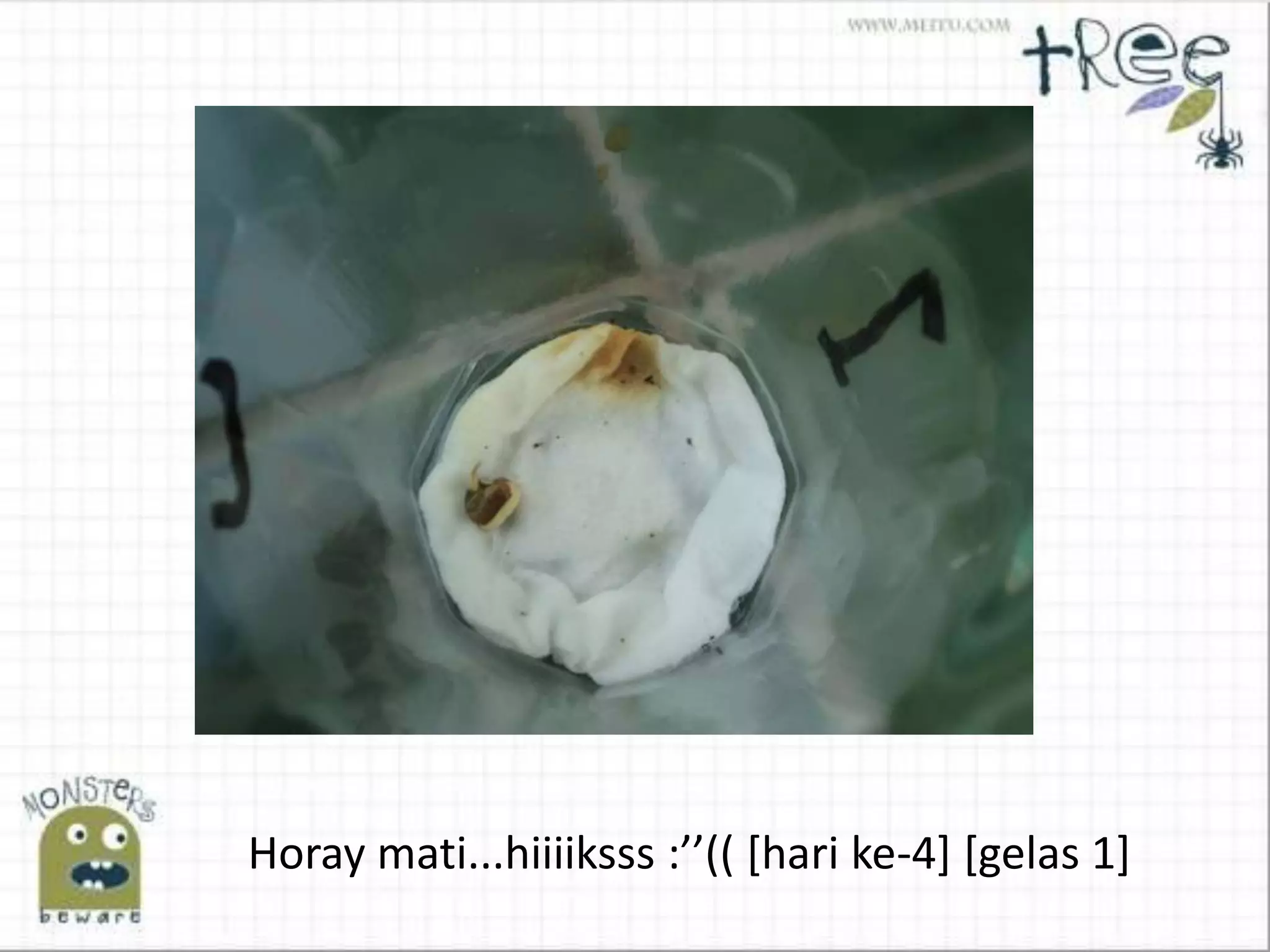 Horay mati...hiiiiksss :’’(( *hari ke-4] [gelas 1]
 