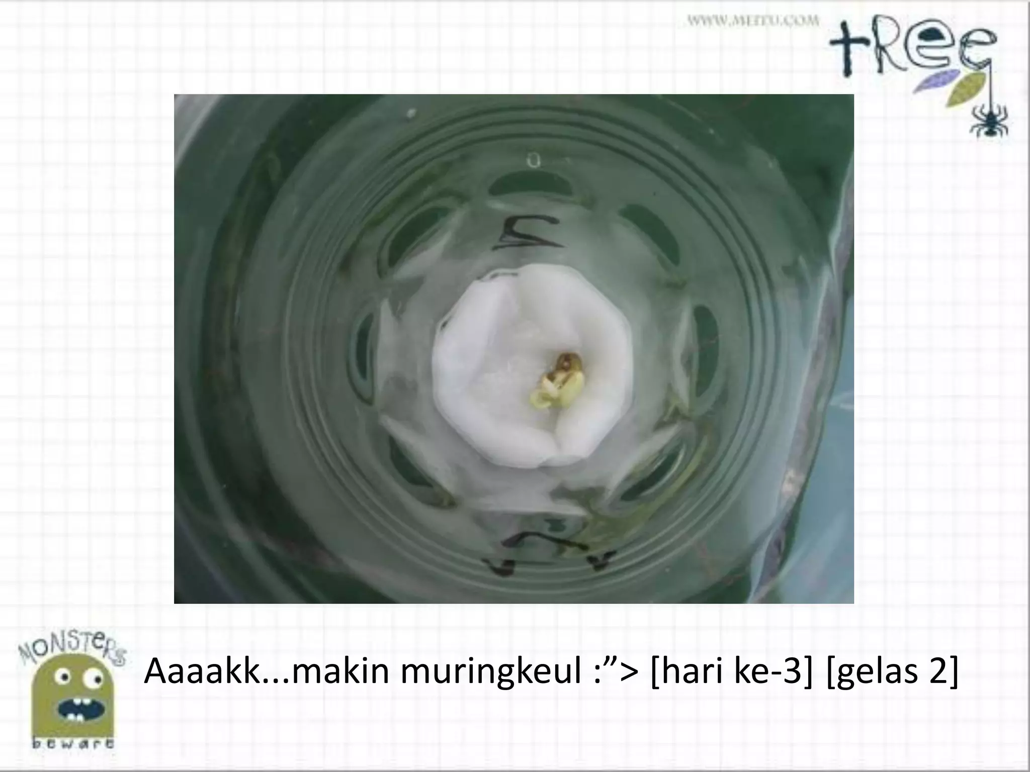 Aaaakk...makin muringkeul :”> *hari ke-3] [gelas 2]
 