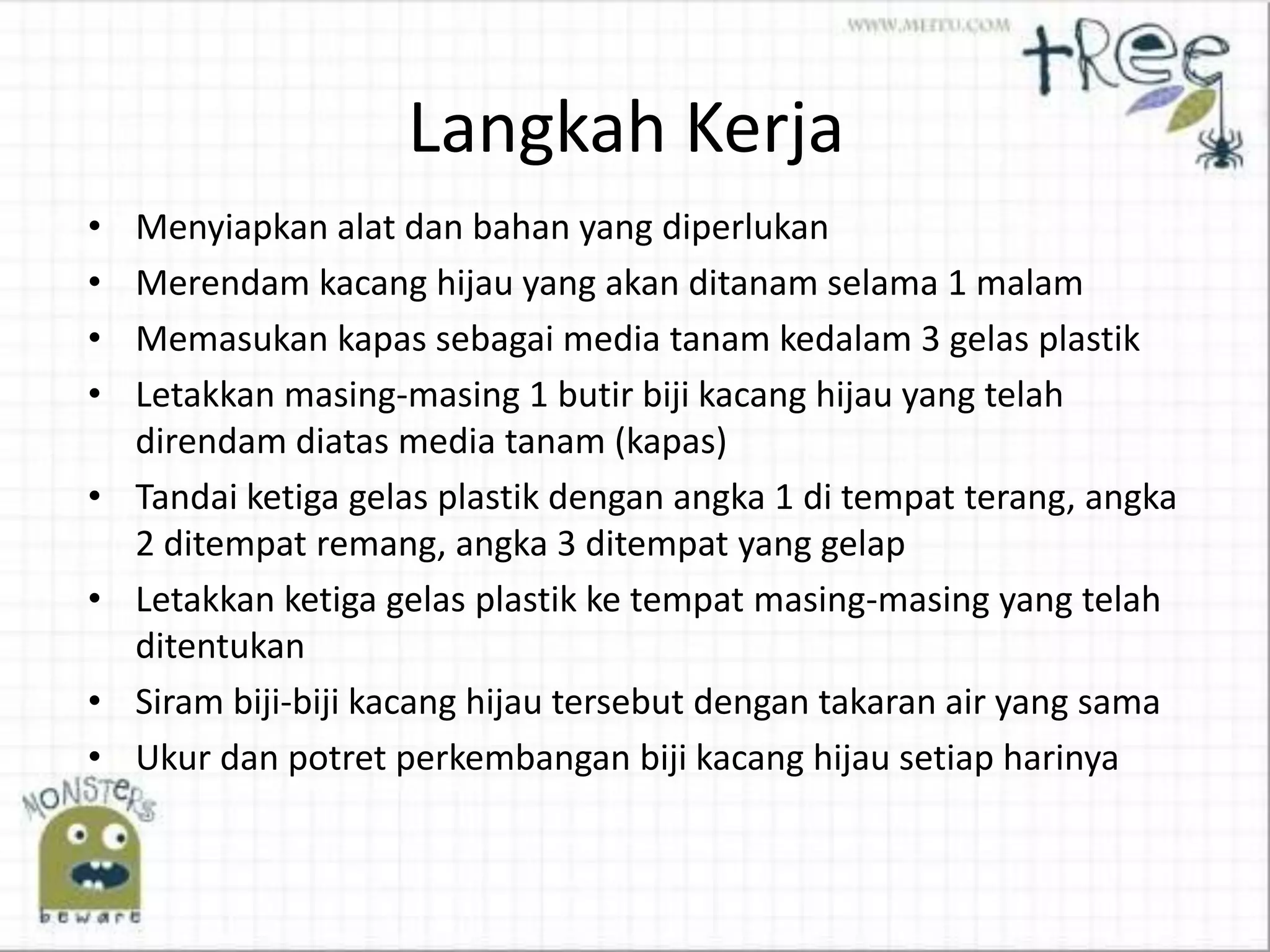 Langkah Kerja
• Menyiapkan alat dan bahan yang diperlukan
• Merendam kacang hijau yang akan ditanam selama 1 malam
• Memasukan kapas sebagai media tanam kedalam 3 gelas plastik
• Letakkan masing-masing 1 butir biji kacang hijau yang telah
direndam diatas media tanam (kapas)
• Tandai ketiga gelas plastik dengan angka 1 di tempat terang, angka
2 ditempat remang, angka 3 ditempat yang gelap
• Letakkan ketiga gelas plastik ke tempat masing-masing yang telah
ditentukan
• Siram biji-biji kacang hijau tersebut dengan takaran air yang sama
• Ukur dan potret perkembangan biji kacang hijau setiap harinya
 