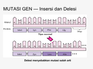 Biologi kelas xii | PPT