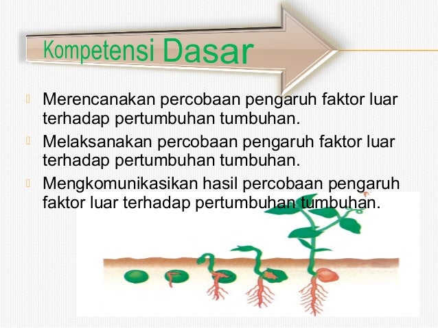 Biologi Kelas Xii Biologi Kelas Xii