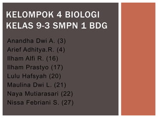 KELOMPOK 4 BIOLOGI
KELAS 9-3 SMPN 1 BDG
Anandha Dwi A. (3)
Arief Adhitya.R. (4)
Ilham Alfi R. (16)
Ilham Prastyo (17)
Lulu Hafsyah (20)
Maulina Dwi L. (21)
Naya Mutiarasari (22)
Nissa Febriani S. (27)
 