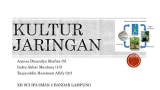 Annisa Dinandya Shafira (5)
Indra Akbar Maulana (13)
Taqiyuddin Hammam Afiify (21)
XII SCI IPA SMAN 2 BANDAR LAMPUNG
 