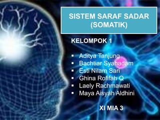 SISTEM SARAF SADAR
(SOMATIK)
KELOMPOK 1
 Aditya Tanjung
 Bachtiar Syahadam
 Esti Nilam Sari
 Ghina Rofifah Q
 Laely Rachmawati
 Maya Aisyah Aldhini
XI MIA 3
 